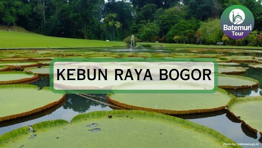 Tak Kalah Hype!! Kebun Raya Bogor, Destinasi Favorit Liburan Keluarga